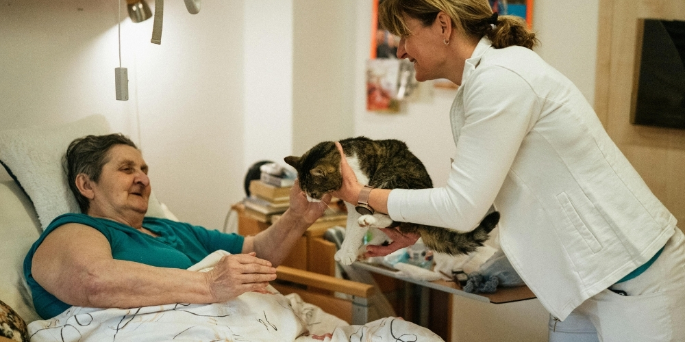 Скільки коштує турбота: реальні ціни на пансіонати в Одесі у 2025 році