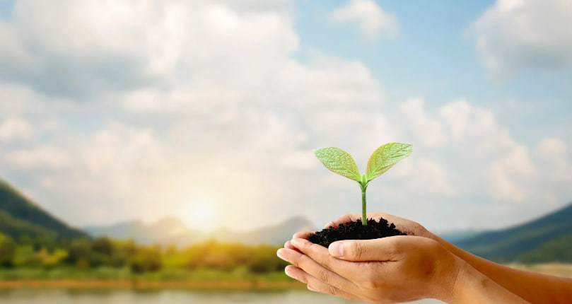 Обмен опытом и знаниями