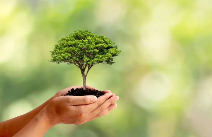 забота о климате